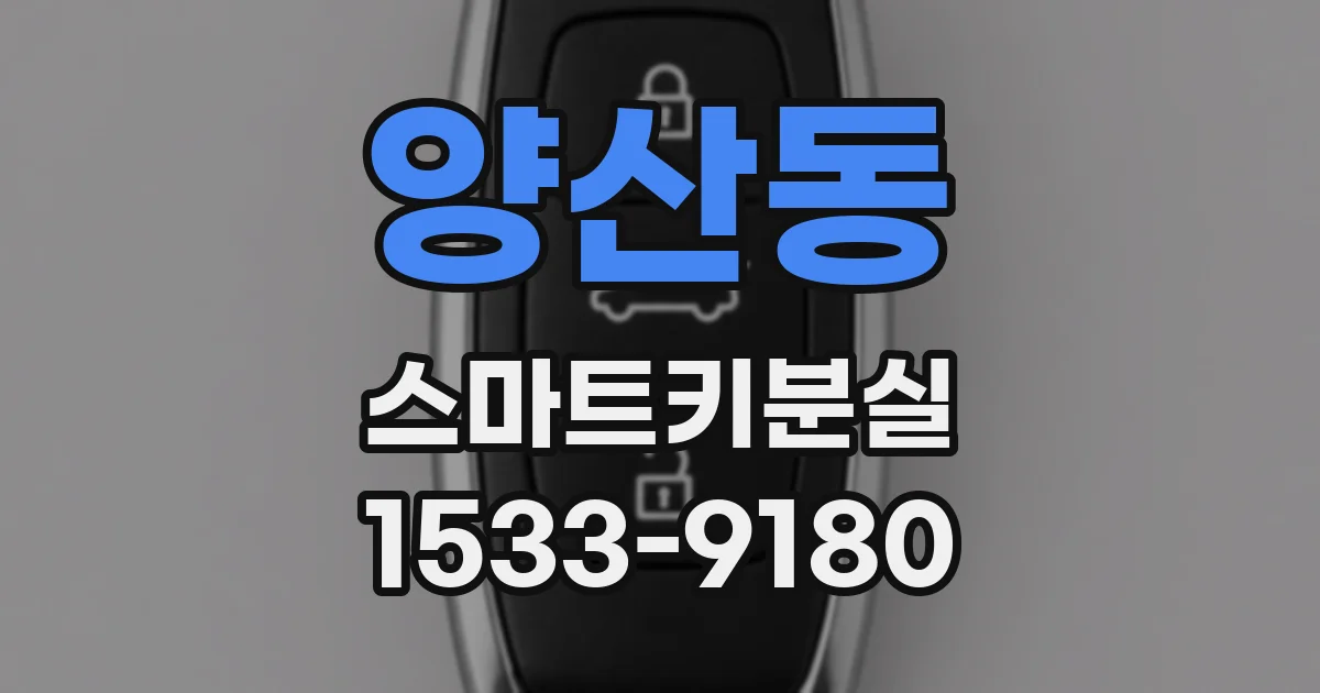 양산동 스마트키분실