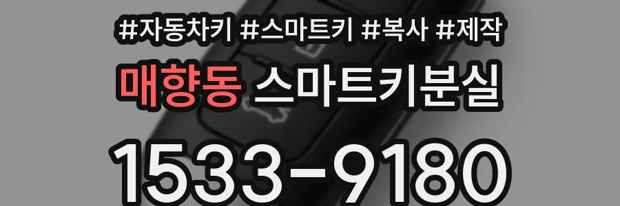 매향동 스마트키분실