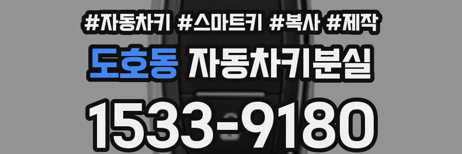 도호동 자동차키분실
