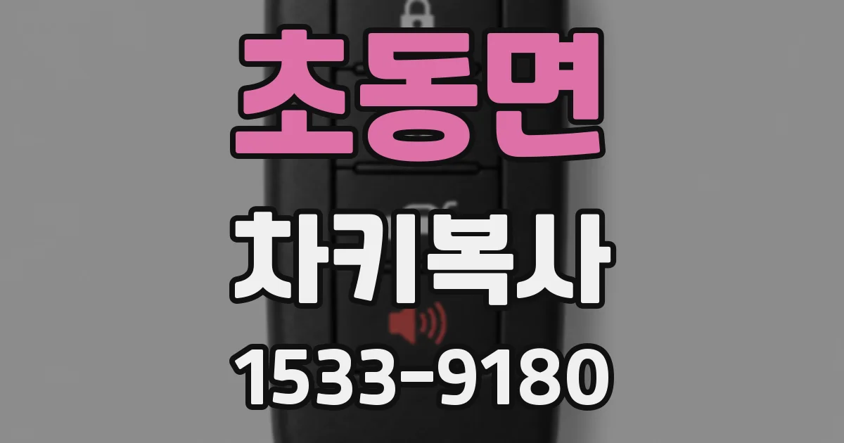 초동면 차키복사