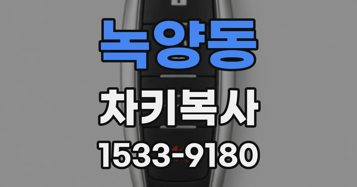 녹양동 차키복사