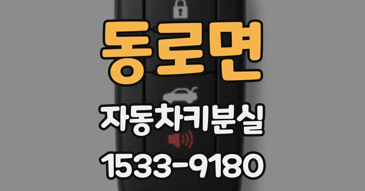 동로면 자동차키분실