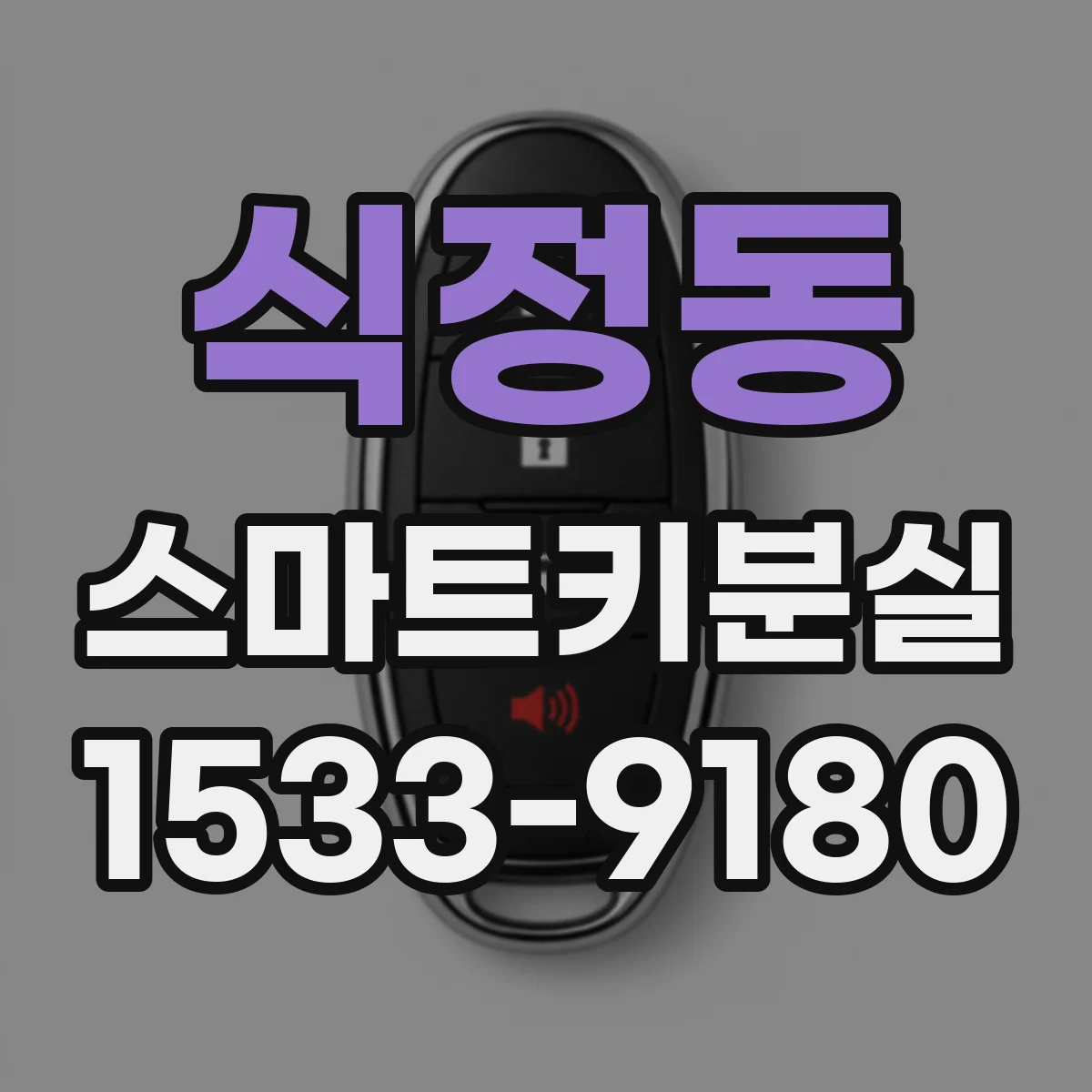 식정동 스마트키분실