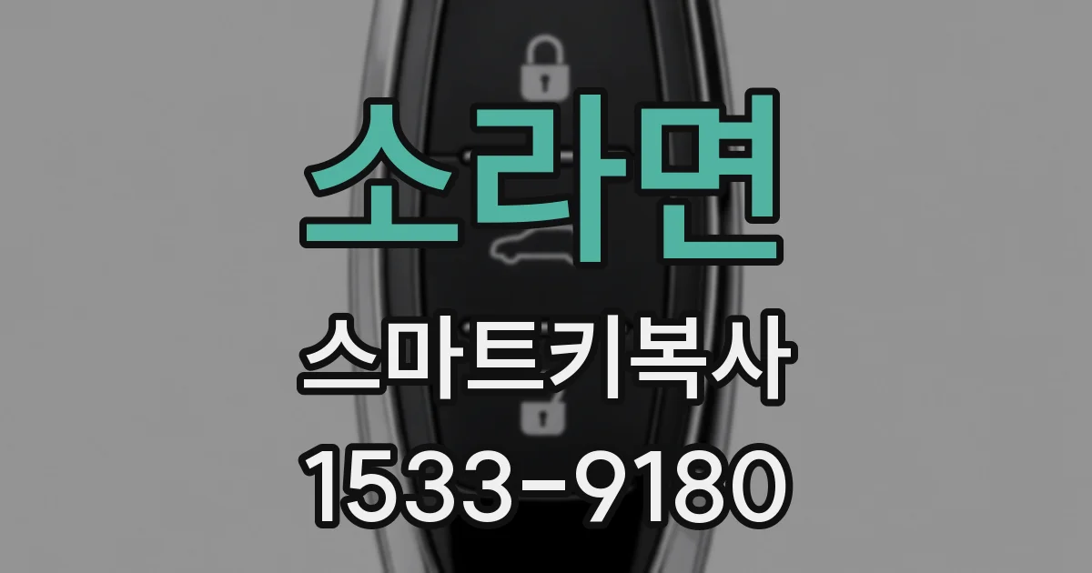 소라면 스마트키복사