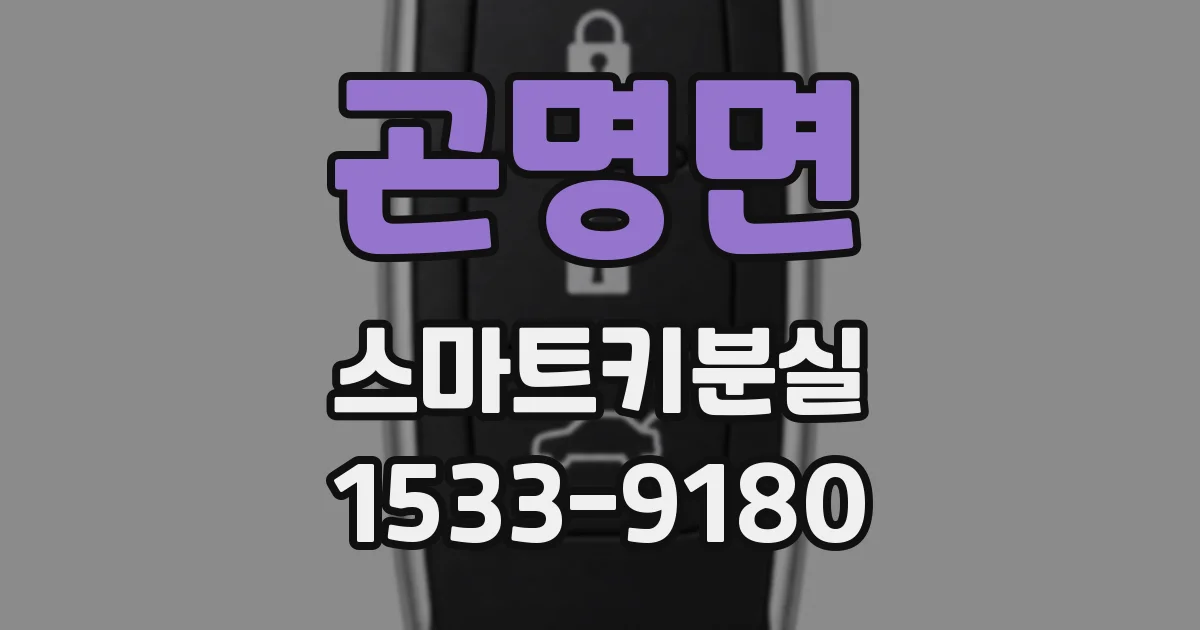 곤명면 스마트키분실