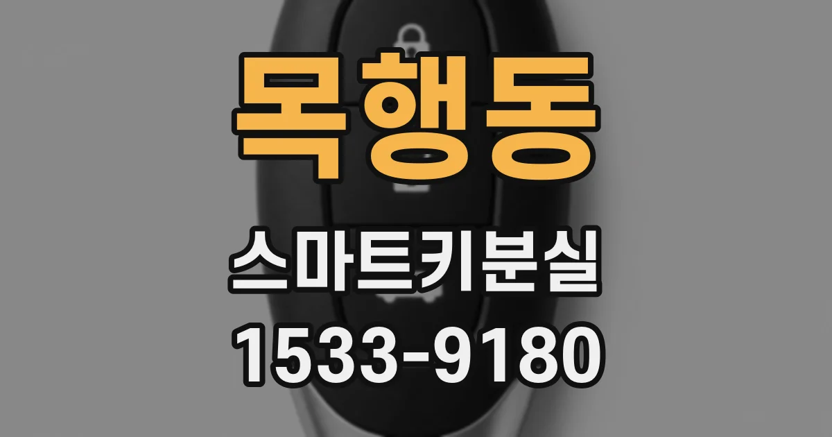 목행동 스마트키분실