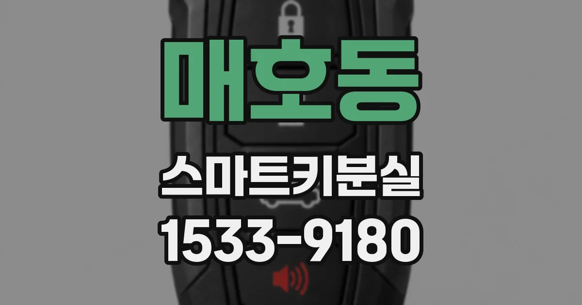 매호동 스마트키분실