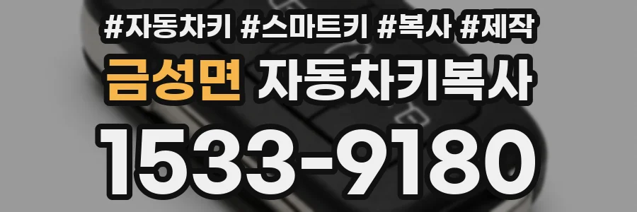 금성면 자동차키복사