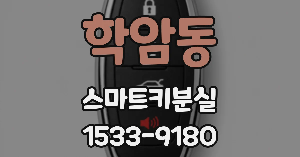 학암동 스마트키분실