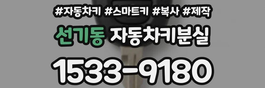 선기동 자동차키분실
