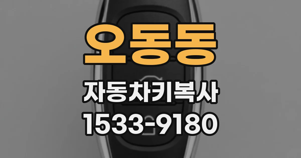 오동동 자동차키복사