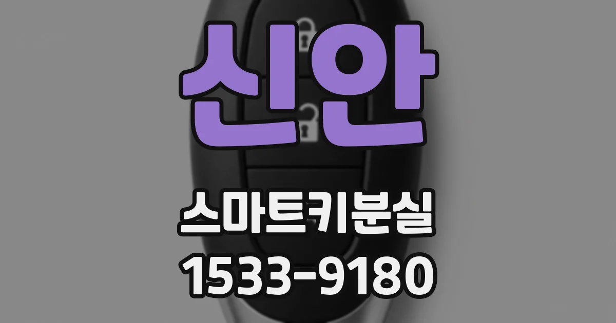 신안 스마트키분실