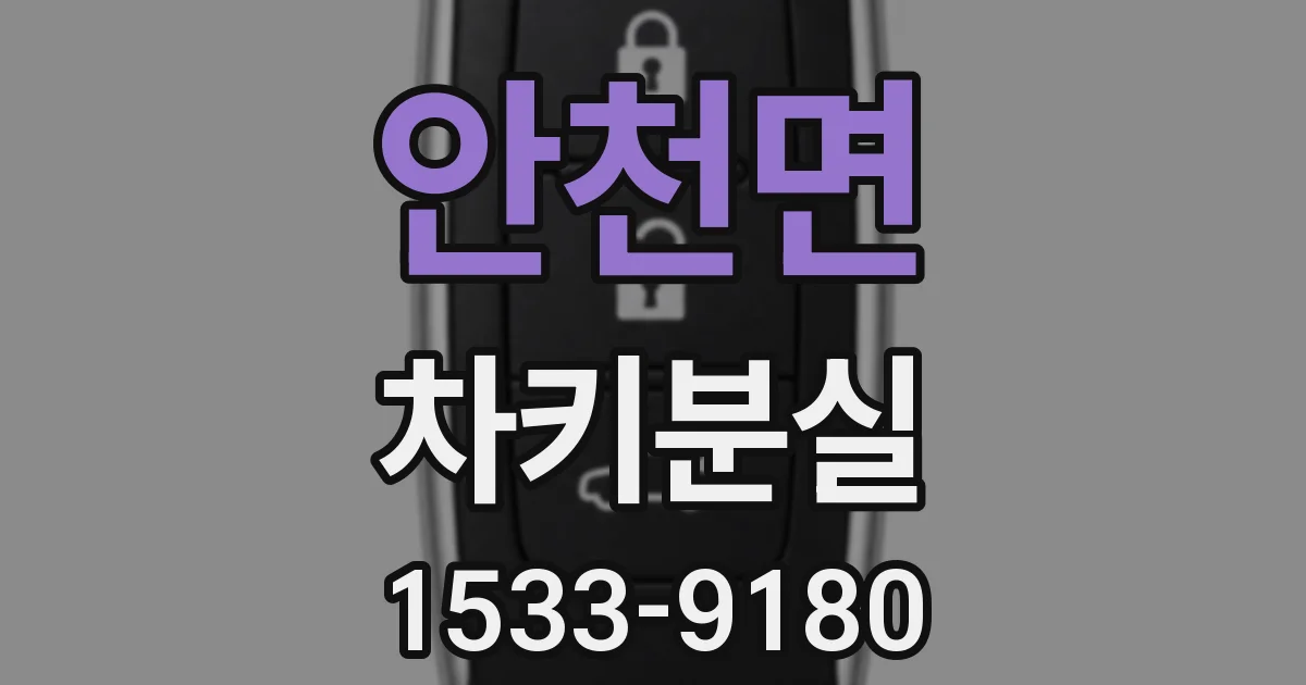 안천면 차키분실