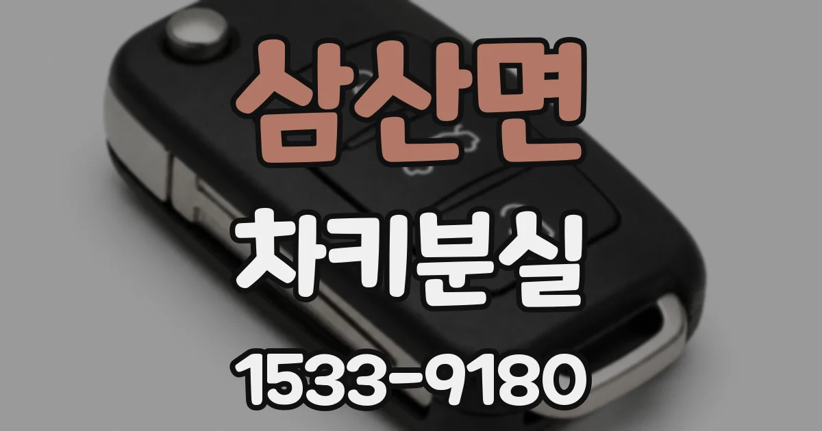 삼산면 차키분실