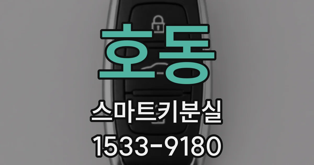 호동 스마트키분실