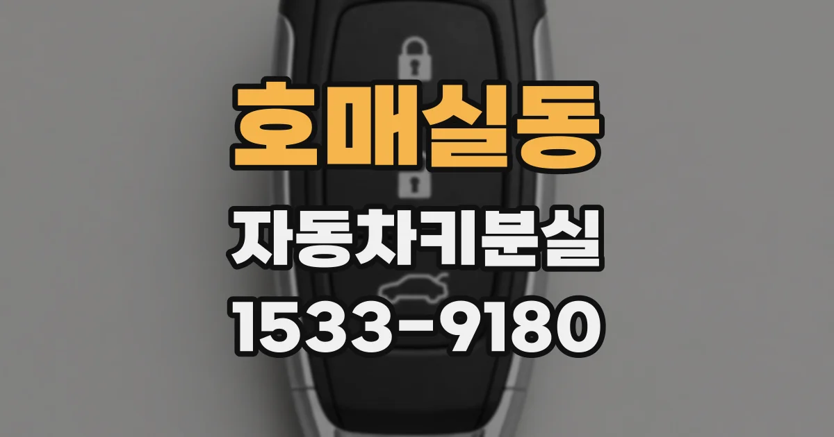 호매실동 자동차키분실