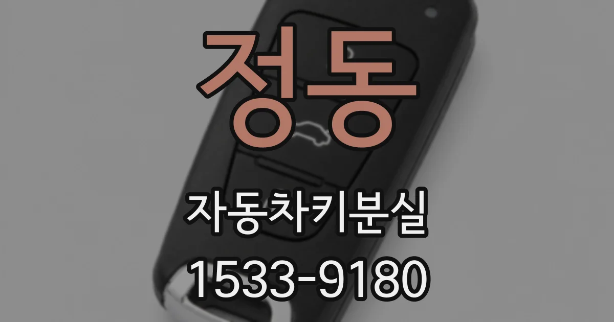정동 자동차키분실