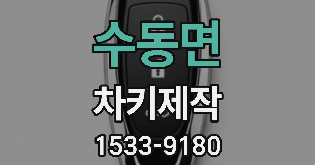 수동면 차키제작