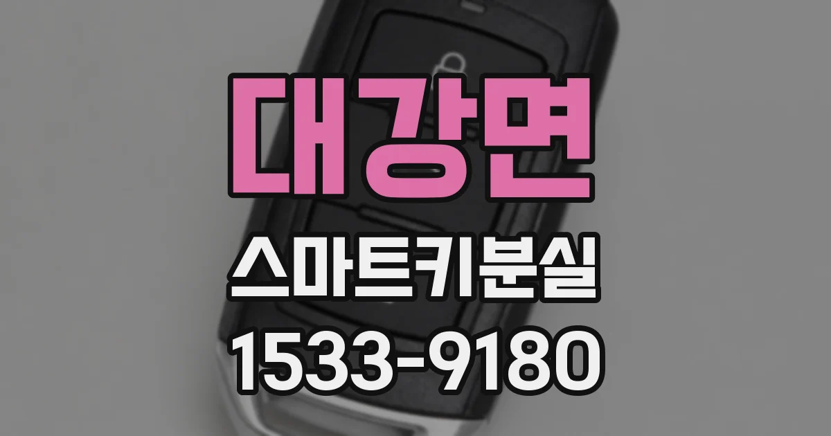 대강면 스마트키분실