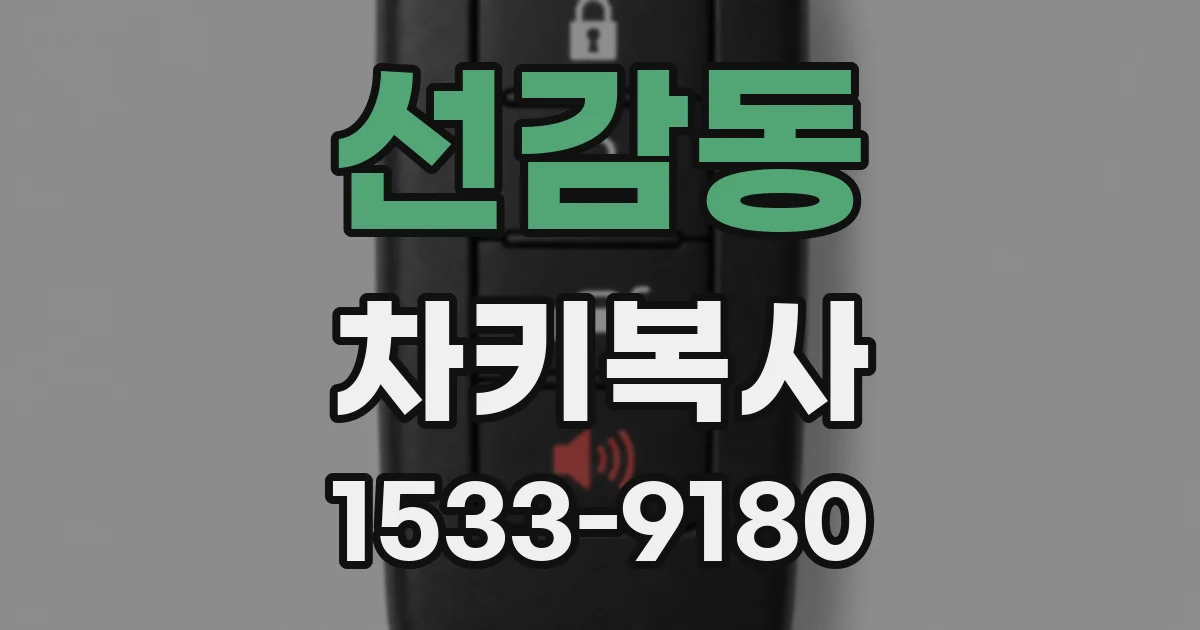 선감동 차키복사