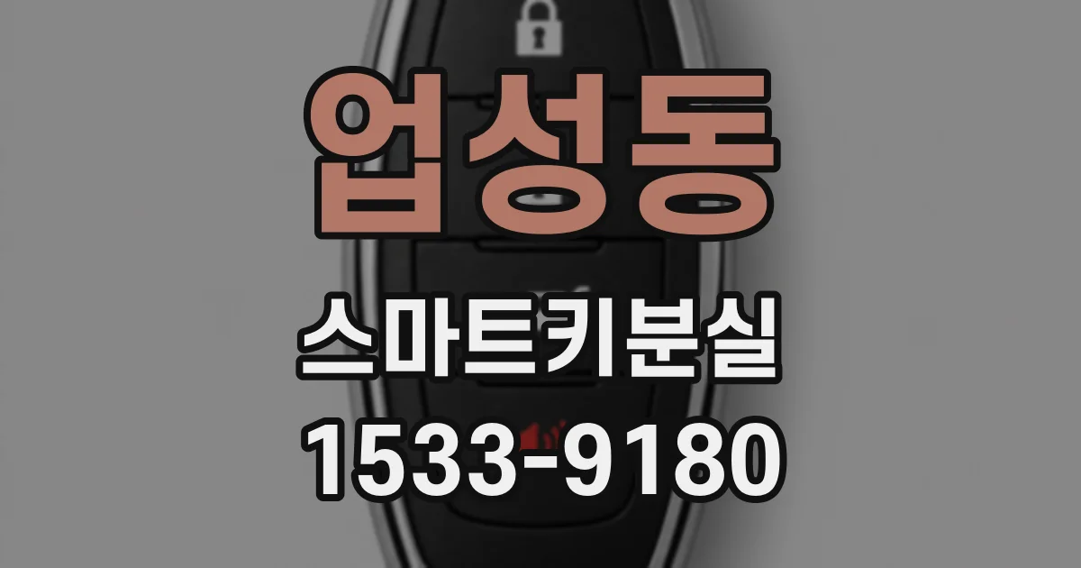 업성동 스마트키분실