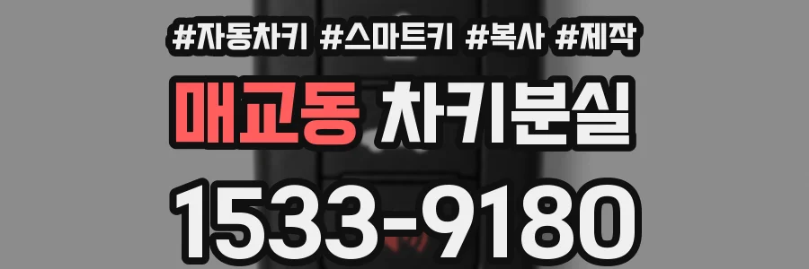 매교동 차키분실