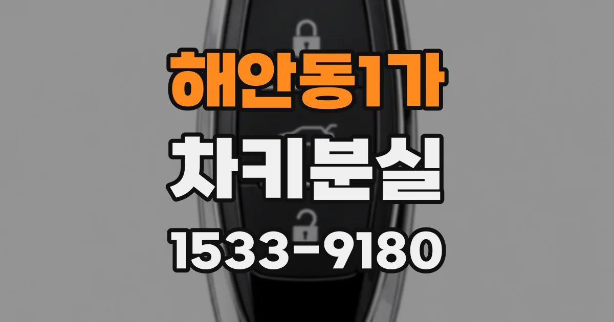 해안동1가 차키분실
