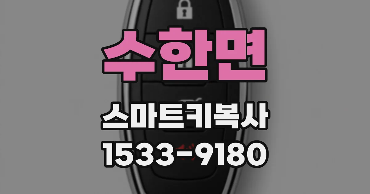 수한면 스마트키복사