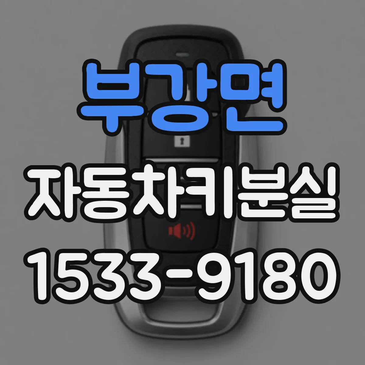 부강면 자동차키분실