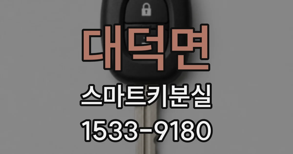 대덕면 스마트키분실