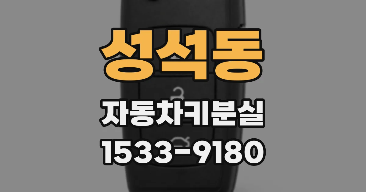 성석동 자동차키분실