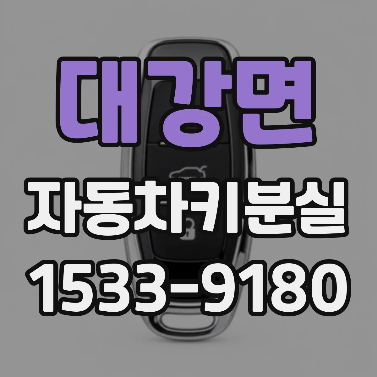 대강면 자동차키분실