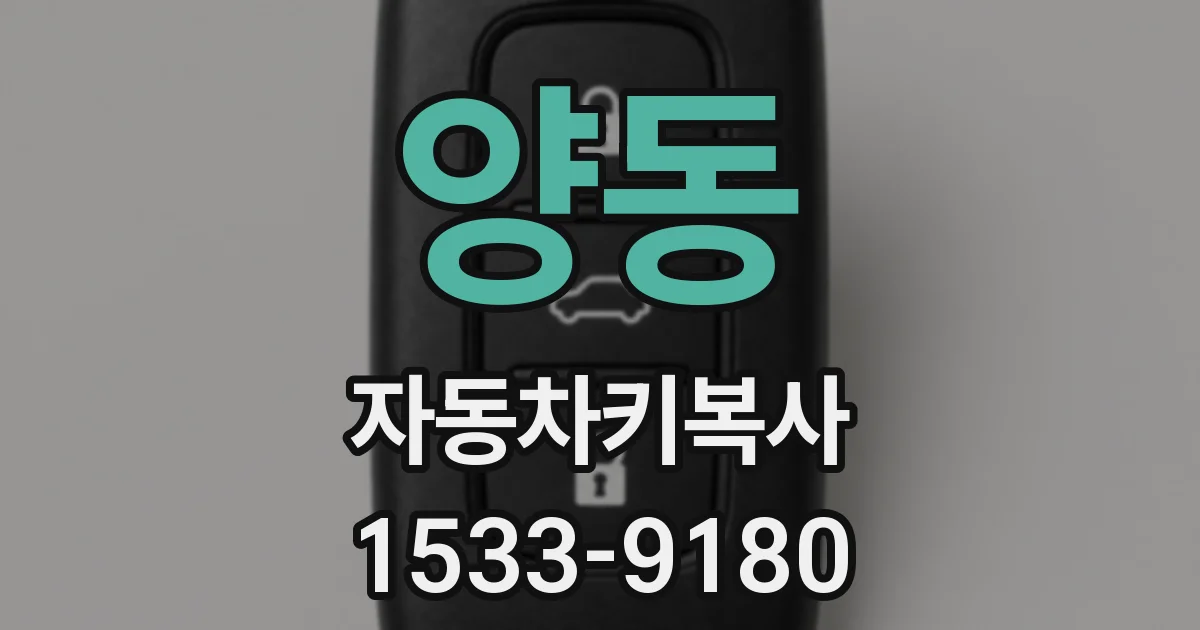 양동 자동차키복사