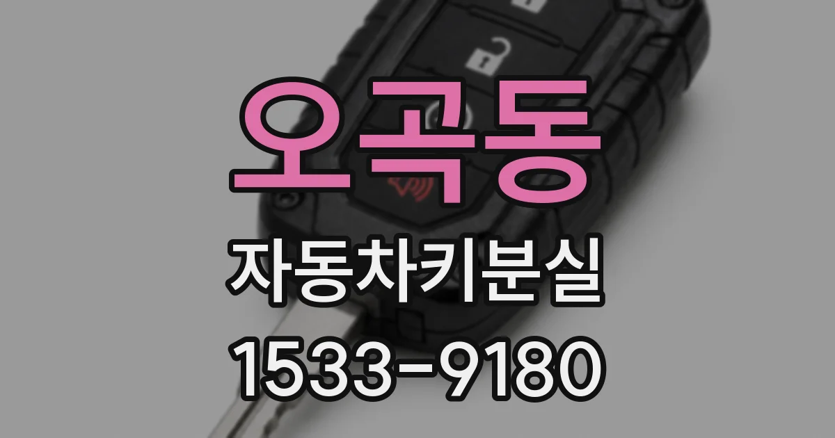 오곡동 자동차키분실