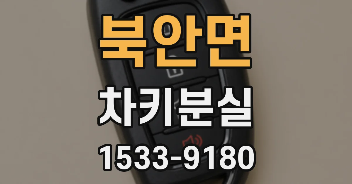북안면 차키분실