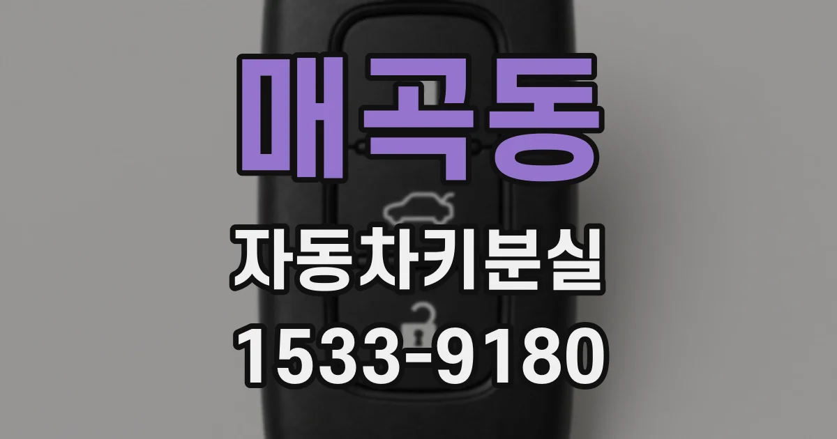 매곡동 자동차키분실