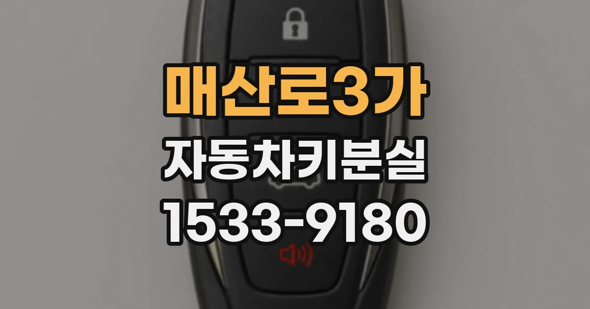 매산로3가 자동차키분실
