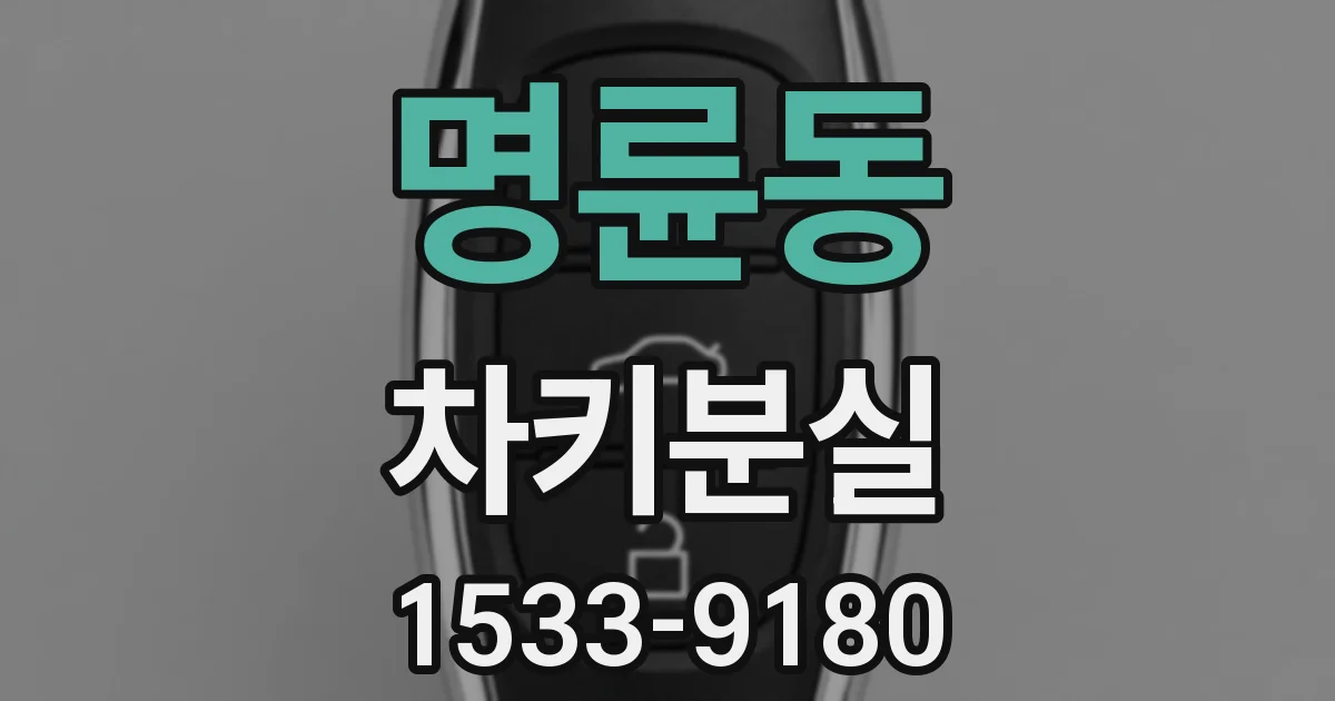 명륜동 차키분실