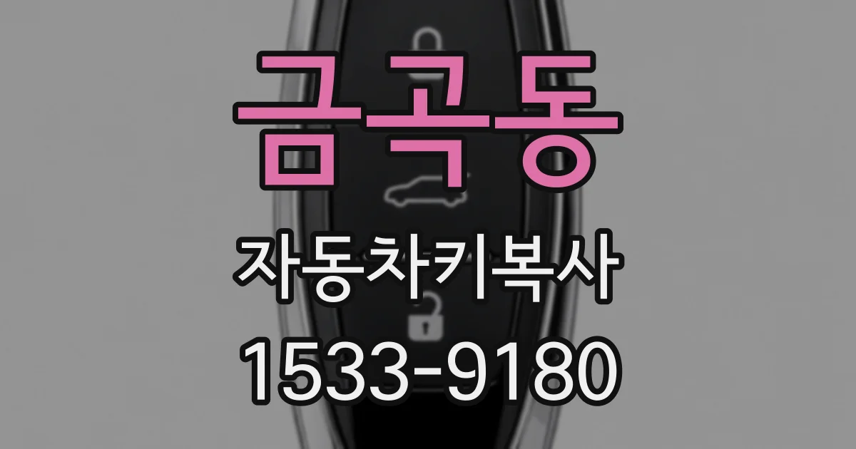 금곡동 자동차키복사