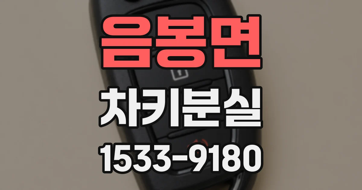 음봉면 차키분실
