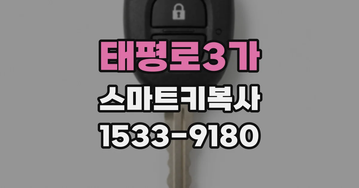 태평로3가 스마트키복사