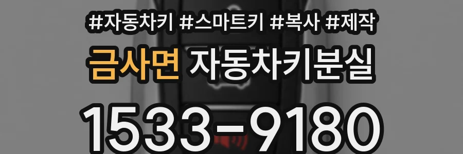 금사면 자동차키분실