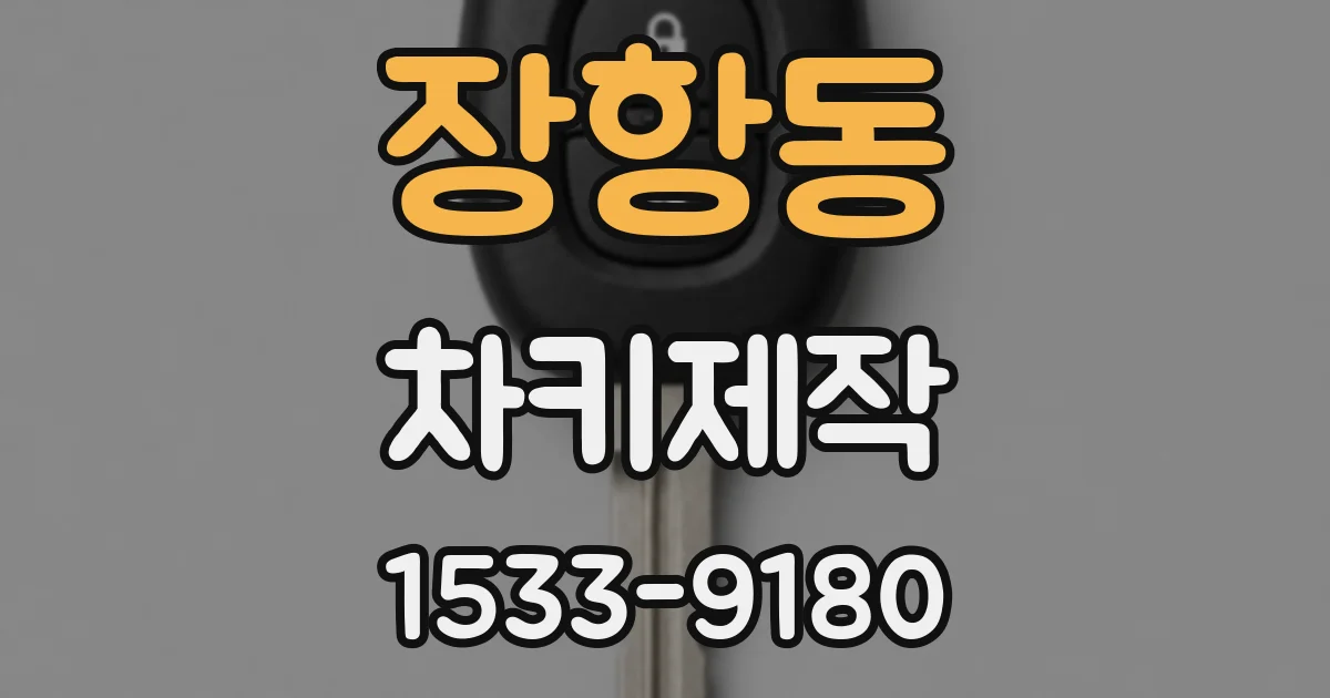 장항동 차키제작