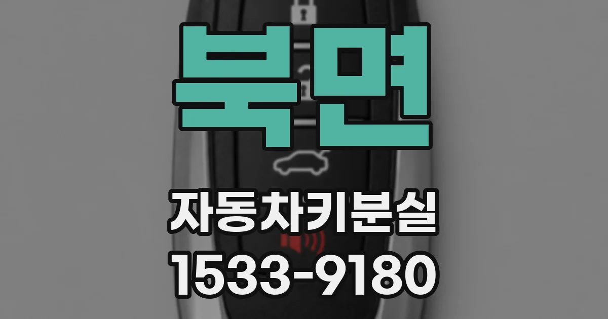 북면 자동차키분실