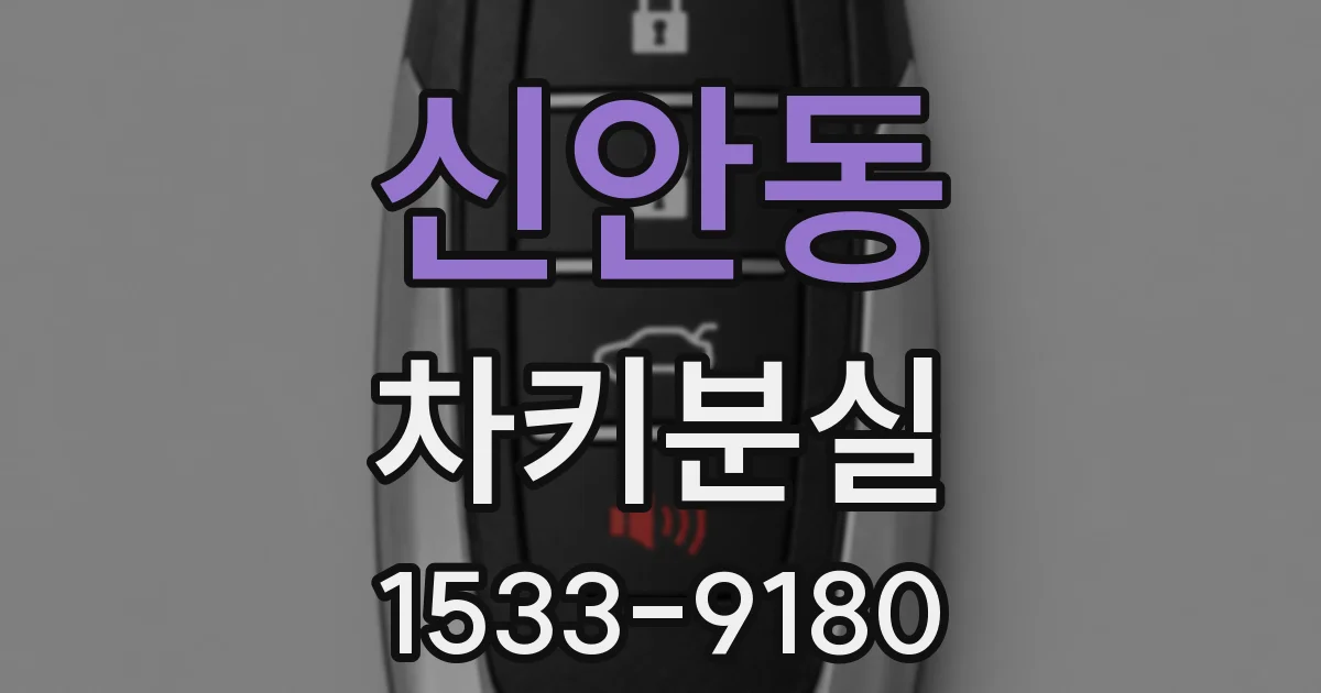 신안동 차키분실
