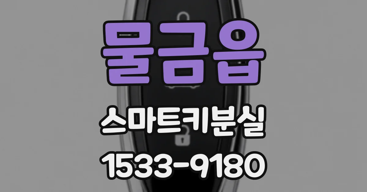 물금읍 스마트키분실
