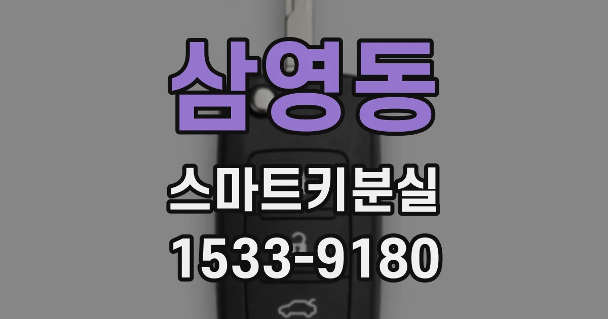 삼영동 스마트키분실