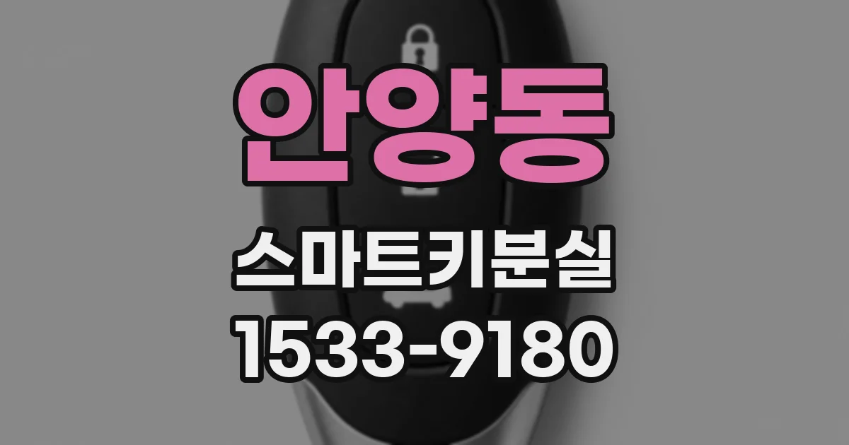 안양동 스마트키분실