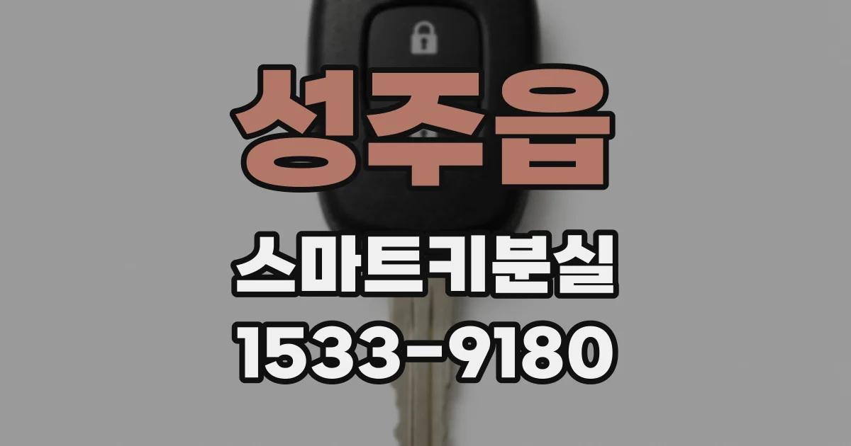 성주읍 스마트키분실