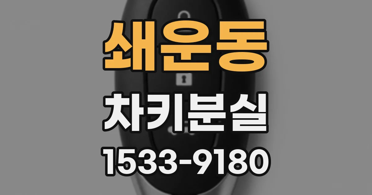 쇄운동 차키분실
